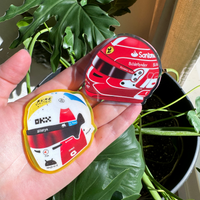 Driver helmet magnets