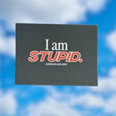 I Am Stupid, Charles Leclerc sticker