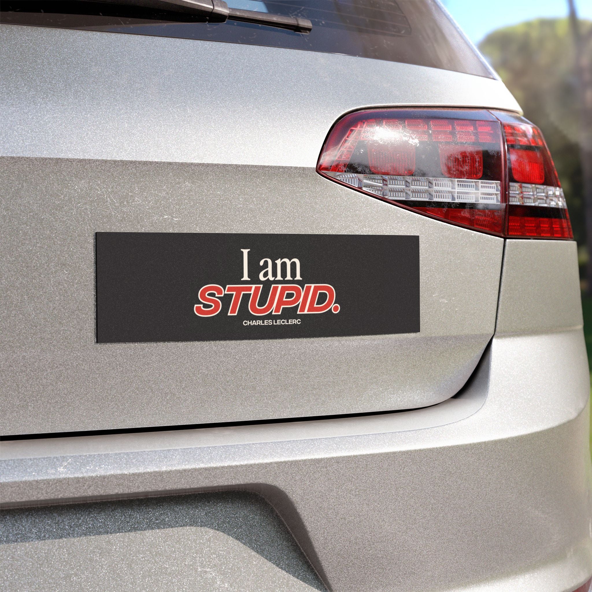 "I am stupid." Car Magnets