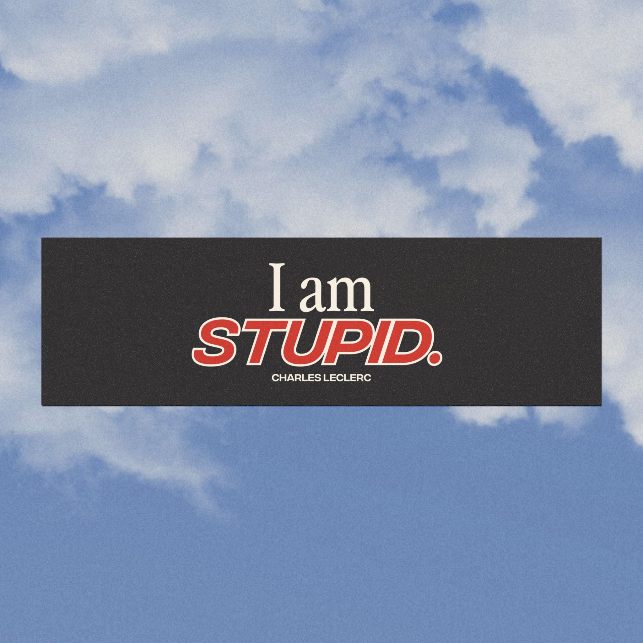 "I am stupid." Car Magnets