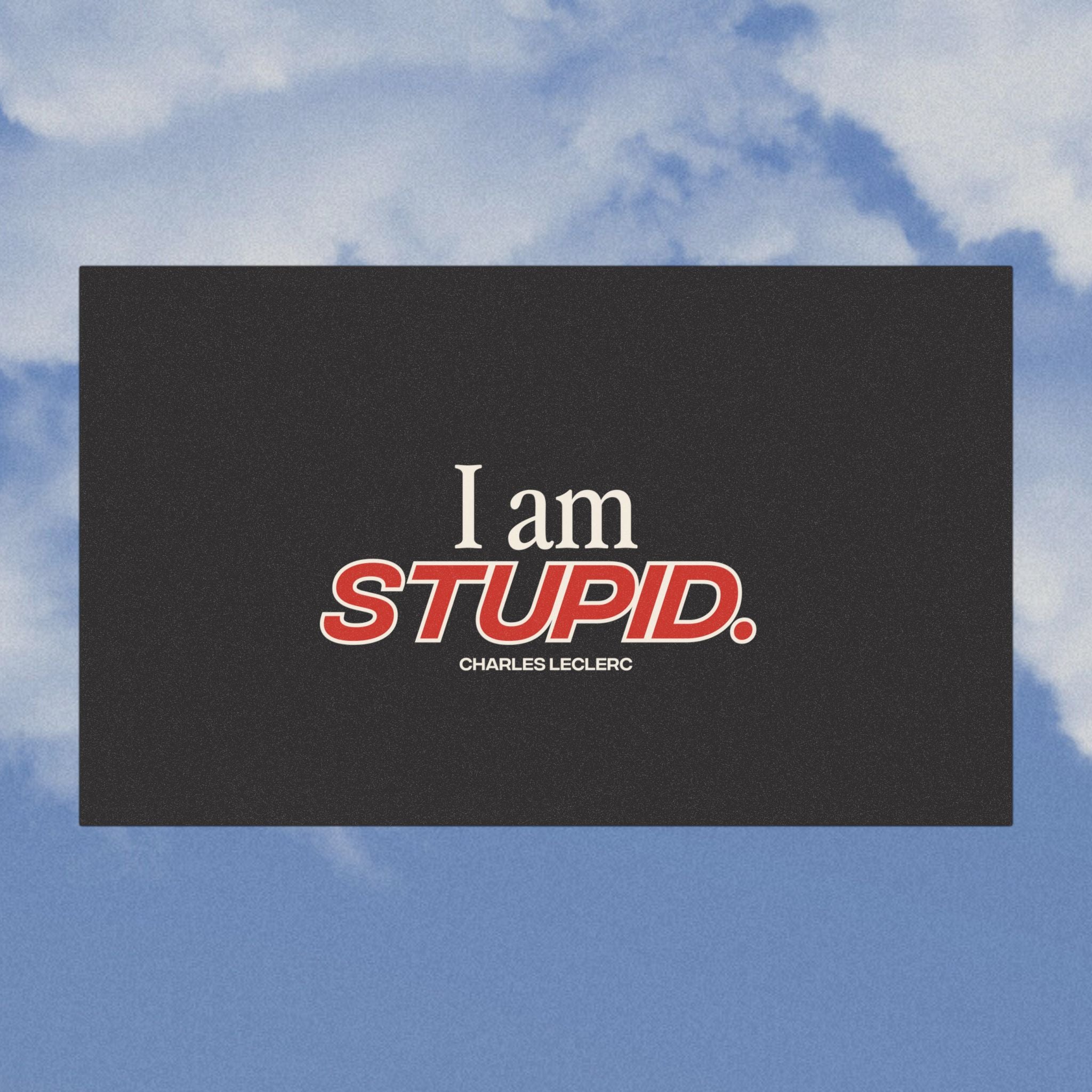 "I am stupid." Car Magnets