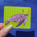 Groovy Sea Turtle sticker