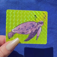 Groovy Sea Turtle sticker